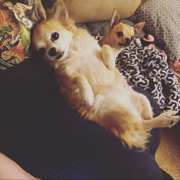 Meet your Posher, Mercedes 💜 - Picture 1 of 5